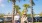 two women walk down a tree lined walkway